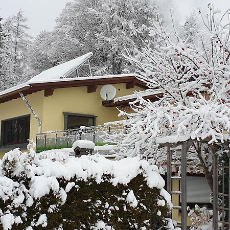 Fewo Zum Gscheiten Beck Mit Grosser Terrasse Feldberg  Ngoại thất bức ảnh