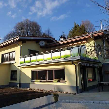 Fewo Zum Gscheiten Beck Mit Grosser Terrasse Feldberg  Ngoại thất bức ảnh